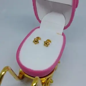 Abridores Estrellas 18K Basico