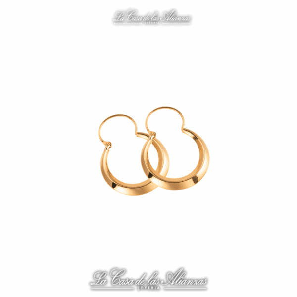 Aros criollos N°4